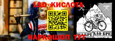 гашик Новокубанск