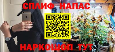 гашик Новокубанск