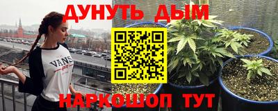 гашик Новокубанск