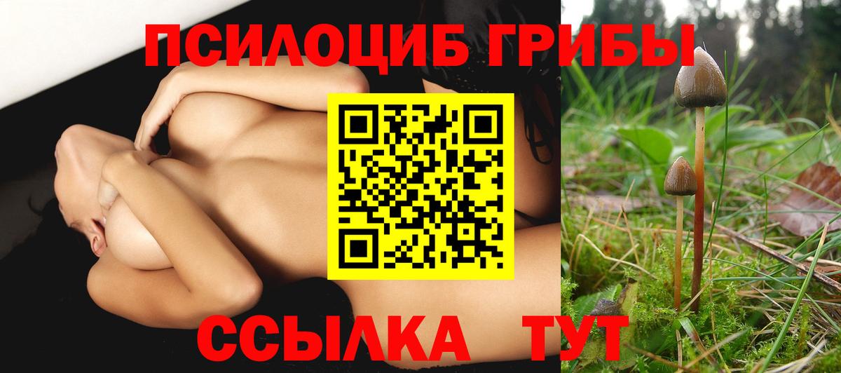 Псилоцибиновые грибы GOLDEN TEACHER  Вход с VPN  Южно-Сахалинск 